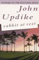 Rabbit At Rest