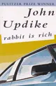 Rabbit Is Rich