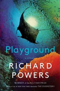 Cover of Playground