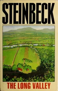 Cover of The Long Valley