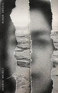 Cover of Minor Detail