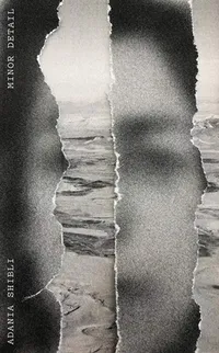 Cover of Detaile xume bat