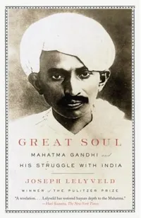 Cover of Great Soul Mahatma Gandhi And His Struggle With India