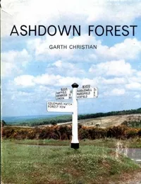 Cover of Buried Mirror