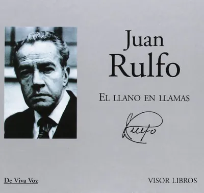 Cover of Llano en llamas