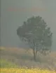 Memoria del paisaje