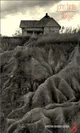 L'Orgie suici de "1933 fut une mauvaise année"