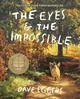 Eyes and the Impossible