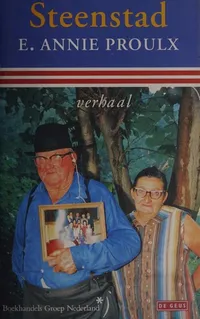 Cover of Steenstad