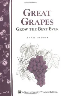 Cover of Great Grapes