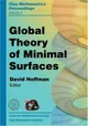 Global Theory Of Minimal Surfaces