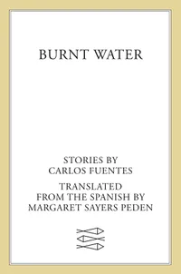 Cover of Burnt Water