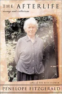 Cover of The afterlife